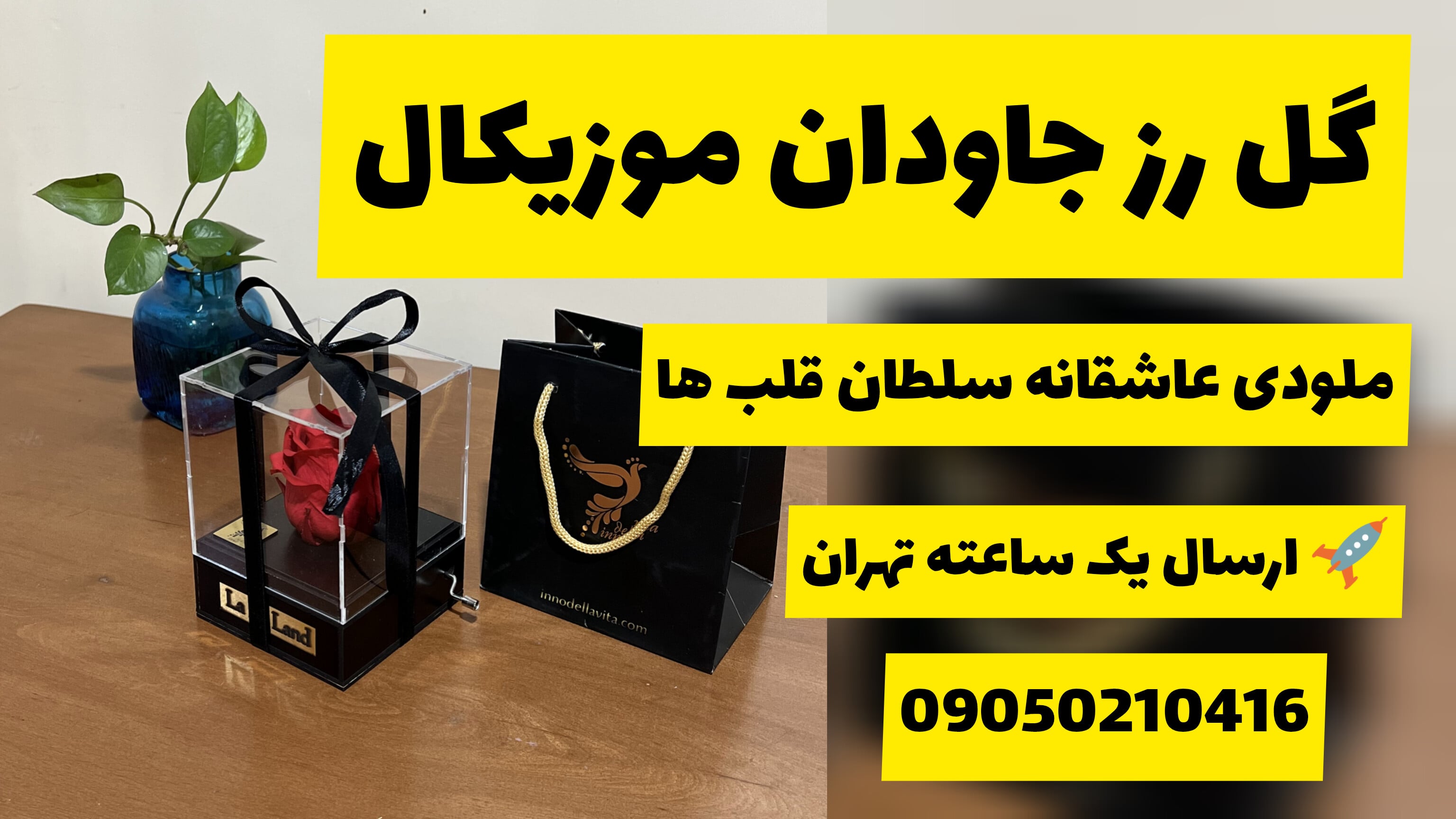 گل رز جاودان موزیکال با ملودی عاشقانه