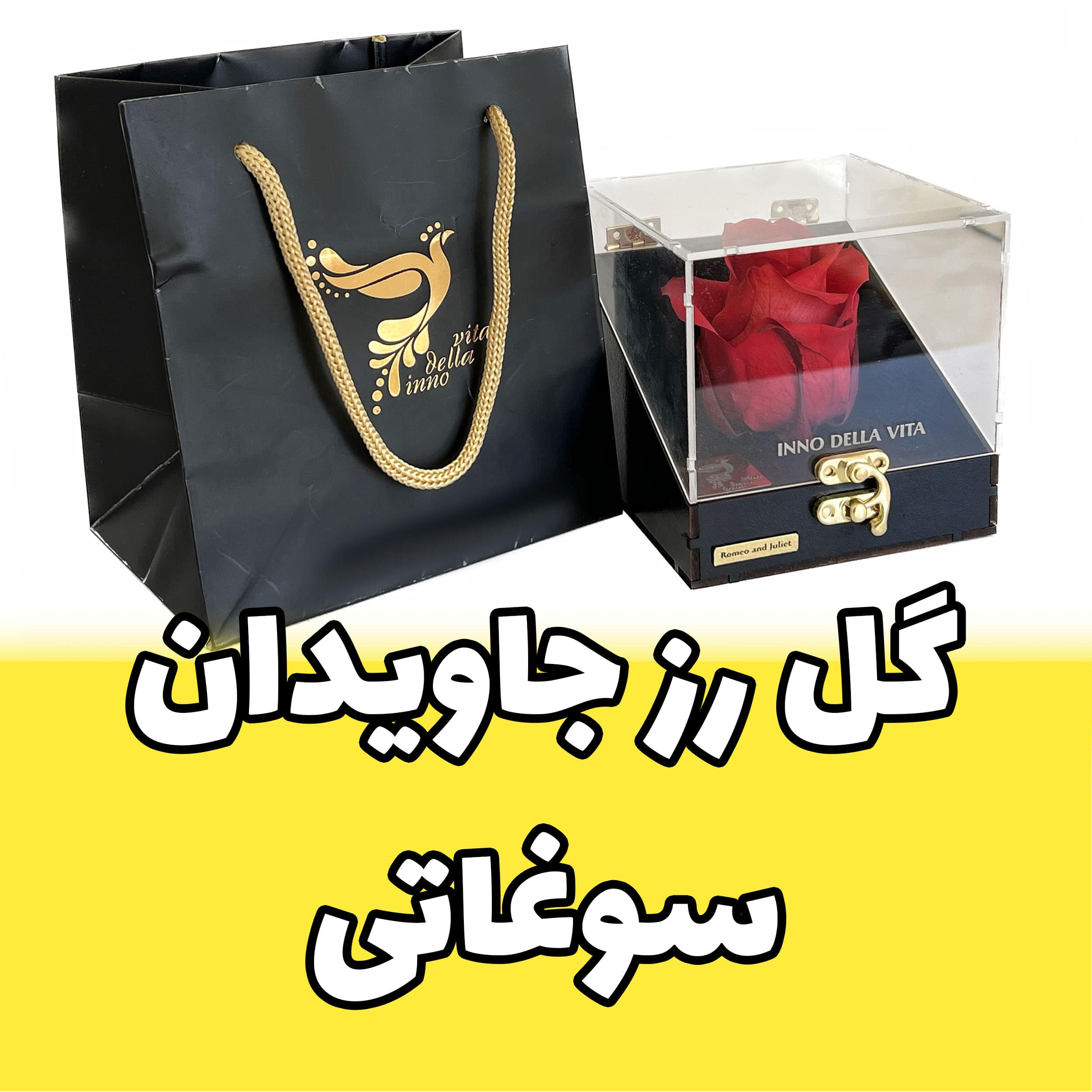 گل رز جاودان اینو دلا ویتا ملودی عاشقانه سوغاتی ( وقتی میای صدای پات ) مدل دستی