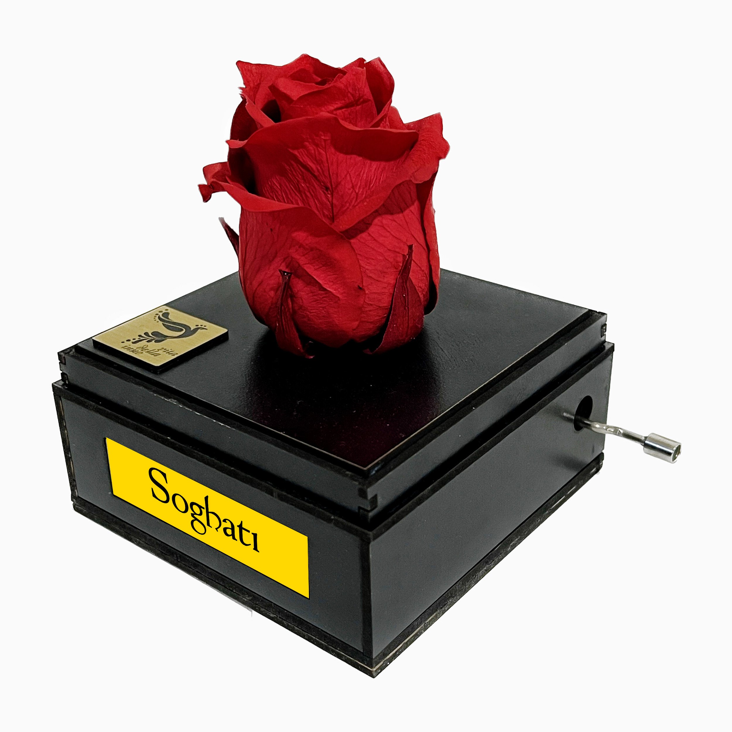 جعبه موزیکال اینو دلا ویتا طرح گل رز جاودان ملودی سوغاتی - وقتی میای صدای پات