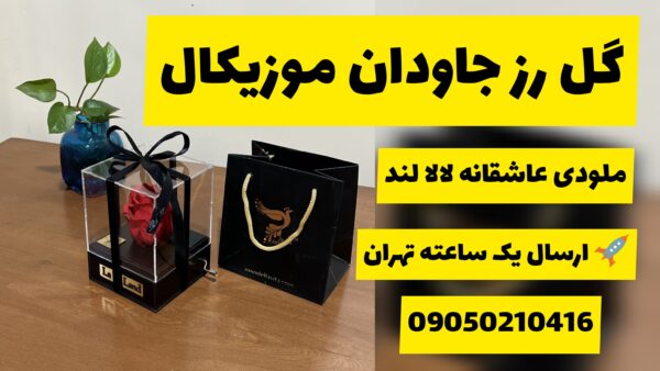 گل رز جاودان موزیکال با ملودی عاشقانه