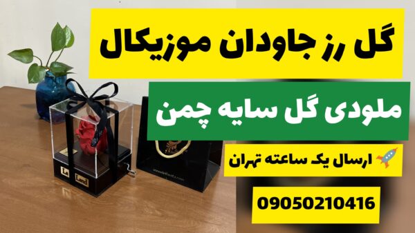 گل رز جاودان موزیکال ملودی یه گا سایه چمن